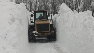 Bitlis'te kar 7 metreyi buldu
