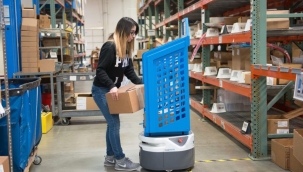 Bu meslekte sayarak para kazanıyorlar