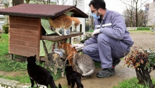 Bursa'da can dostlara 'Yıldırım' şefkati