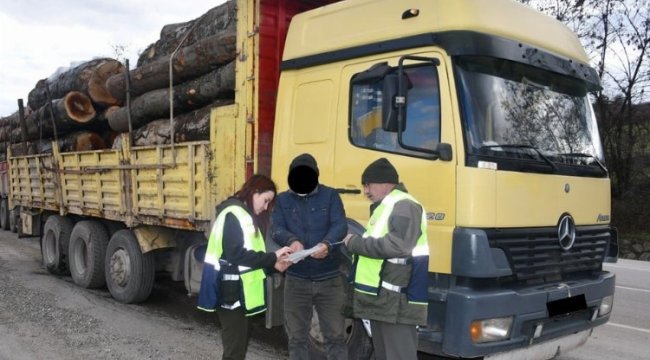 Bursa'da 'Orman'dan emval denetimleri