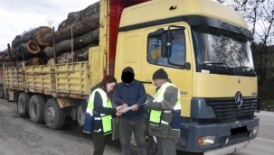 Bursa'da 'Orman'dan emval denetimleri