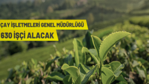 ÇAYKUR 630 geçici işçi alacak