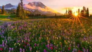 Cemre toprağa, suya ne zaman düşecek? İkinci cemre ne zaman, nereye düşecek?