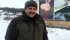 Dünya Sulak Alanlar Günü'nde Seyfe Gölü'nde kar sevinci