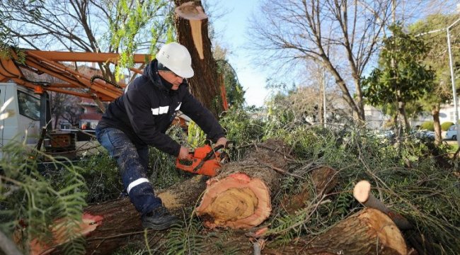 İzmir Gaziemir'de atık dallar evleri ısıtacak