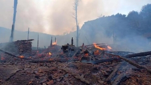 Kastamonu'da 15 ahşap ev alevlere teslim oldu