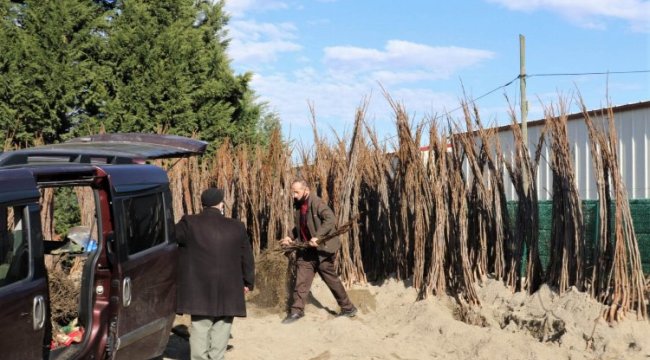 Kocaeli Büyükşehir’in yüzde 50 hibeli fidan dağıtımı başladı