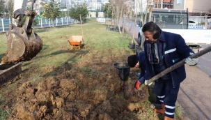 Kocaeli İzmit Yeşilova Mahallesi'nde bitkilendirme çalışması