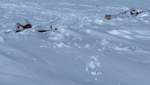 MSB: Mehmetçiklerimiz her zaman ve her yerde hazır