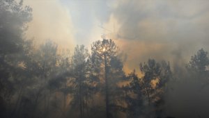 Orman yangınlarına 'yapay zeka' ile anında tespit