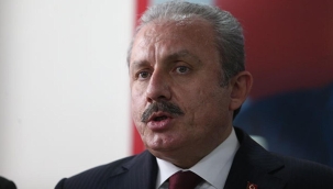 TBMM Başkanı Şentop: Alevi kardeşlerimize yönelik hakaret asla kabul edilemez
