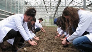 Üretim sağlayan danışmanlar sahada olmalı