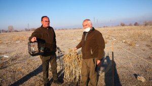 Yasa dışı saka kuşu avlayan 1 kişi yakalandı