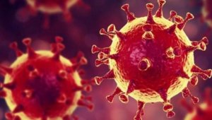 12 Mart Koronavirüs vaka tablosu açıklandı