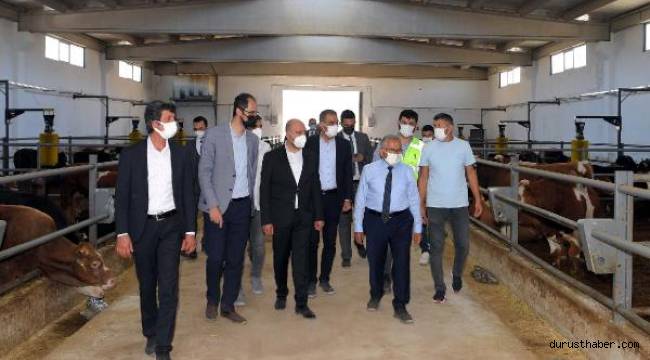 Başkan Büyükkılıç: 10 yıl vadeyle geri ödemeli Büyükbaş Besi Çiftliği yapılacak