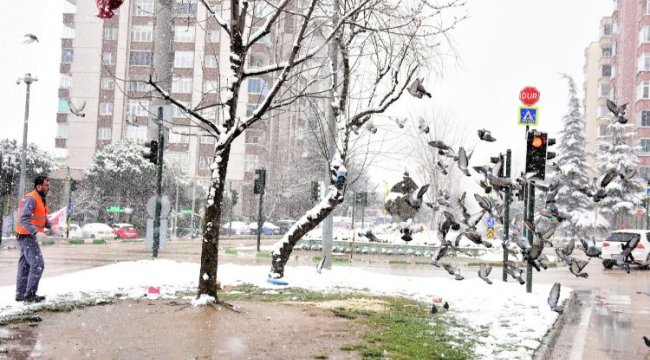 Bursa Yıldırım'da can dostları unutulmadı