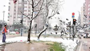 Bursa Yıldırım'da can dostları unutulmadı