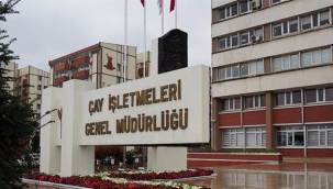 ÇAYKUR, 630 mevsimlik işçi alacağını duyurdu: Başvuru rekoru kırıldı