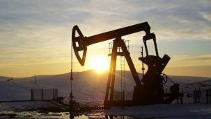 Diyarbakır'da petrol aranacak