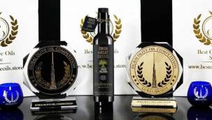Dubai’den, Kilis Zeytinyağı’na altın madalya