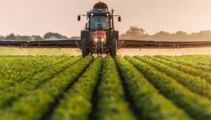 Dünya Bankası'ndan Türkiye'ye 341 milyon dolarlık tarım kredisi: Kimler yararlanacak?