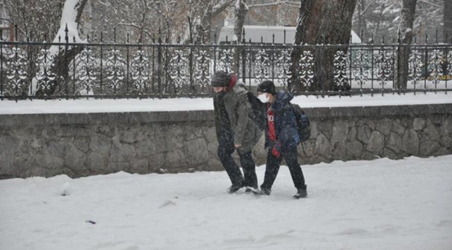 Düzce'de kar yağışı nedeniyle yarın okullar tatil edildi