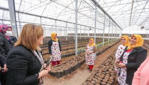 Gastronomi ve Tarımsal Eğitim Merkezi’nde tohumlar toprakla buluştu 