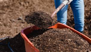 Gübre ve yem 2022 güncel fiyat listesi