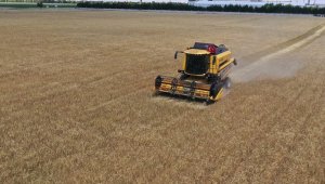 Hububat ve bakliyattaki üretim açığı atıl tarım arazilerinin kullanımıyla kapanacak