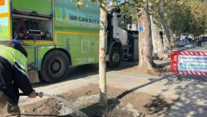 İstanbul Beşiktaş'taki çınar ağaçları yaşatılacak