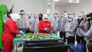 İzmir Efeler'de yüzde 100 kadın emeği