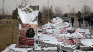 Kayseri Büyükşehir Belediyesi'nden 13 ilçeye 13 ton mama desteği