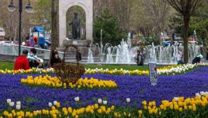 Kayseri Büyükşehir'den 'yeşil' atılım