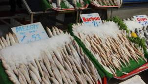 Kayseri’de havaların ısınması balığa ilgiyi azalttı