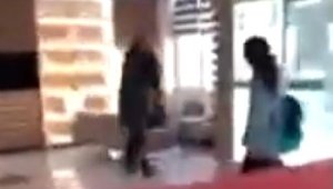 Kediye tekme atan okul müdürü hakkında soruşturma