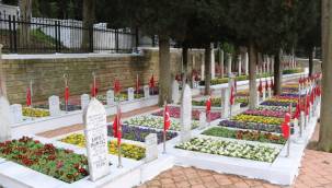 Kocaeli Büyükşehir şehitliğe sahip çıkıyor