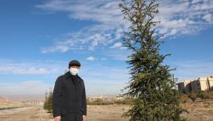 Kocasinan'da yine hedef ; 100 bin ağaç dikmek