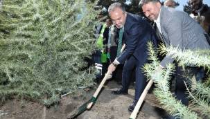 Kültür Başkenti Bursa'da fidanlar toprakla buluşuyor