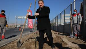 Melikgazi İlçesi'nin Ağaç Haritası çıkarılacak