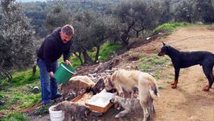 Mudanyalı muhtardan can dostlara ziyafet