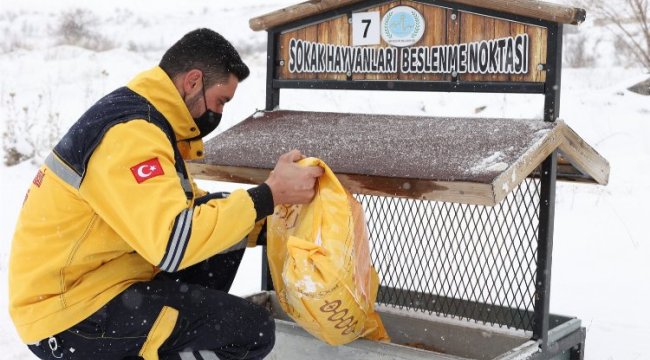 Nevşehir Belediyesi can dostları unutmadı