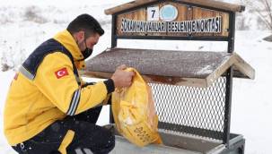 Nevşehir Belediyesi can dostları unutmadı