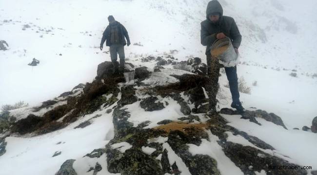 Yahyalı’da yabani hayvanlar için yemleme yapıldı