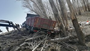 Ağrı'da kamyon şarampole yuvarlandı, 2'si çocuk 5 kişi hayatını kaybetti