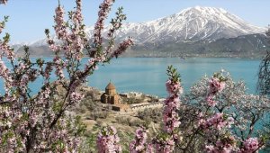 Akdamar Adası badem ağaçlarının çiçekleriyle renklendi