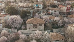 Akseki, çiçek açan meyve ağaçlarıyla renklendi