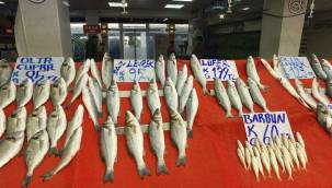 Artan maliyetler balıkçıları da vurdu