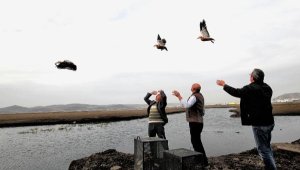 Avlanması yasak angut ile yeşilbaş ördek besleyen avcıya 20 bin TL ceza