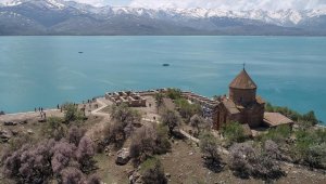 Baharın renklerine bürünen Akdamar Adası'nda 'Badem Çiçeği Festivali' düzenlendi