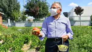 Büyükşehir İle Kayseri, Tarım Şehri Oldu